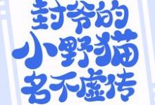 完结版《悄然情深：封爷的小野猫名不虚传》章节阅读-个性文学