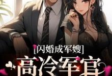 完结版《闪婚成军嫂，高冷军官夜夜当舔狗》章节目录在线阅读-个性文学