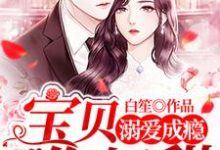 莫济霖许诺莫承何文静诺诺小说《溺爱成瘾：宝贝，你好甜》在线阅读-个性文学