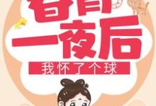 春宵一夜后我怀了个球凌萱庄皓斓在线章节免费阅读-个性文学