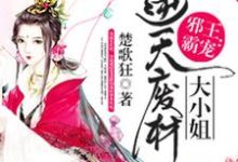 《邪王霸宠：逆天废柴大小姐》小说主角即墨幽涟御夜寒章节章节免费在线阅读-个性文学