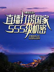 《神级系统：直播打捞国家SSS级机密》全集免费在线阅读（秦铭）