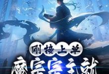 完结版《刚接上单，魔宗宗主就让我弃暗投明》章节目录在线阅读-个性文学