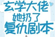 封言夜孟南笙小说《重生后，玄学大佬她扔了复仇剧本》在线阅读-个性文学