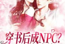 完结版《穿书后成NPC？我天天调戏美男》在线免费阅读-个性文学