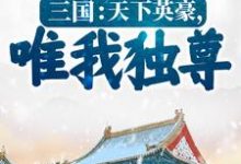 《三国：天下英豪，唯我独尊！》小说章节在线试读，《三国：天下英豪，唯我独尊！》最新章节目录-个性文学