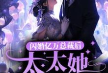 完结版《闪婚亿万总裁后，太太她成了白富美》章节目录在线阅读-个性文学