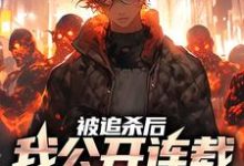 完结版《被追杀后，我公开连载逃亡经历》在线免费阅读-个性文学