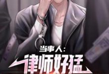 《当事人：律师好猛，案子解决真轻松》小说章节在线试读，《当事人：律师好猛，案子解决真轻松》最新章节目录-个性文学