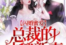 《闪婚蜜爱：总裁的神秘新妻》小说大结局免费试读 傅烨池绫刘哲小说-个性文学