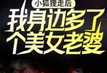 小狐狸走后，我身边多了个美女老婆小说全文阅读需要付费吗？寻找免费资源-个性文学