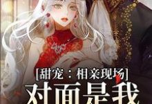 完结版《甜宠：相亲现场，对面是我暗恋对象》章节目录在线阅读-个性文学