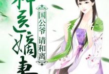 完结版《神医嫡妻：国公爷，请和离》章节阅读-个性文学