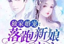 完结版《独家婚宠：落跑新娘甜蜜蜜》免费阅读-个性文学