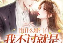 完结版《复什么婚？我不过就是个备胎嘛！》在线免费阅读-个性文学