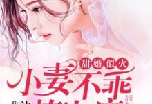 甜婚似火：小妻不乖，撩上瘾叶南栀沈墨泽，甜婚似火：小妻不乖，撩上瘾小说免费阅读-个性文学