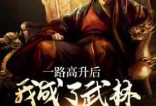 李乘风小说《一路高升后，我成了武林超级BOSS》在线阅读-个性文学