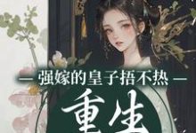 《强嫁的皇子捂不热，重生她不要了》全集免费在线阅读（沈安安）-个性文学