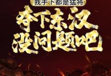 《我手下都是猛将，夺下东汉没问题吧》小说大结局免费试读 刘晋小说-个性文学