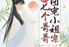 农门福宝：七个哥哥团宠小祖宗章节免费在线阅读，顾柠傅小九完结版-个性文学