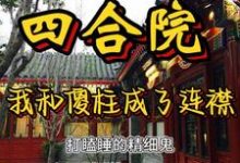 四合院：我和傻柱成了连襟儿小说全文阅读需要付费吗？寻找免费资源-个性文学