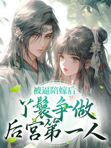 完结版《被逼陪嫁后，丫鬟争做后宫第一人》章节阅读