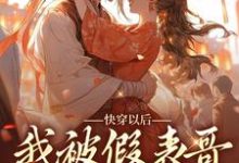 完结版《快穿以后，我被假表哥给缠上了》免费阅读-个性文学