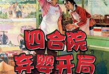 完结版《四合院：弃婴开局，被易中海收养》章节目录在线阅读-个性文学