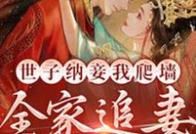 完结版《世子纳妾我爬墙，全家追妻悔断肠》在线免费阅读-个性文学