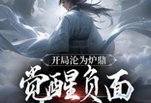 完结版《开局沦为炉鼎，觉醒负面逆转系统》章节阅读-个性文学