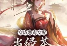 完结版《穿成恶毒女配，当绿茶这么有趣？》章节目录在线阅读-个性文学