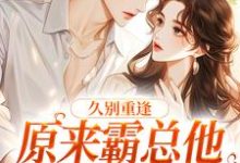 完结版《久别重逢：原来霸总他是纯爱战神》章节目录在线阅读-个性文学