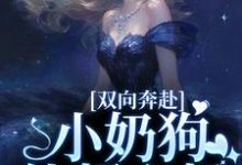 《双向奔赴，小奶狗他超心机》小说大结局免费试读 姜以宁贺驰小说-个性文学